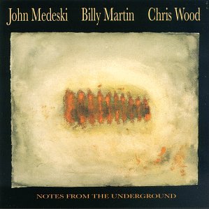MEDESKI, JOHN - NOTES FROM THE UNDERGROUND