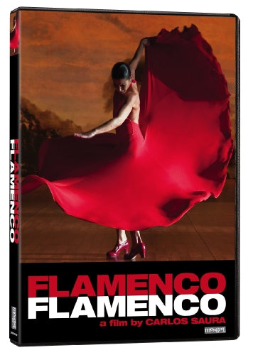FLAMENCO FLAMENCO - DVD