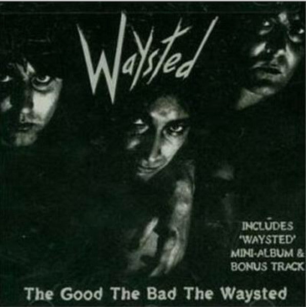 WAYSTED - GOOD, THE BAD, THE WAYSTED