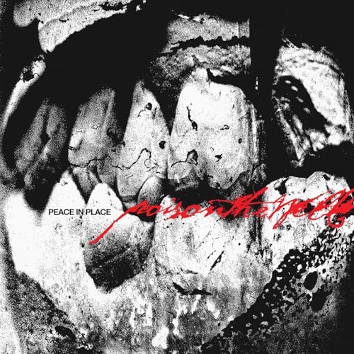 POISON THE WELL - PEACE IN PLACE (JEWEL CASE) (CD)