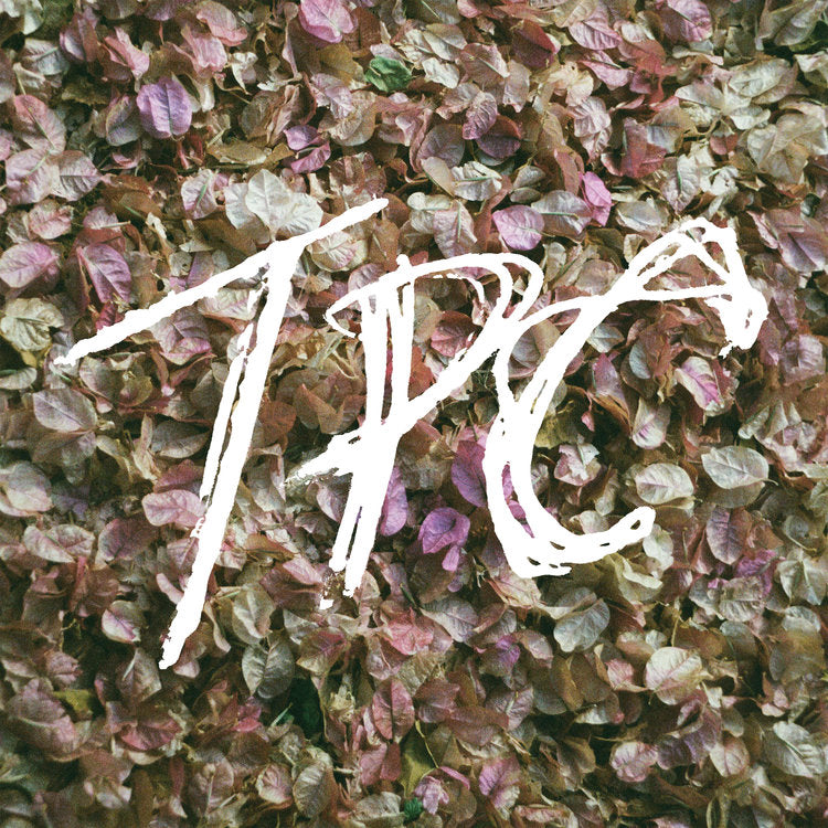 TOKYO POLICE CLUB - TPC