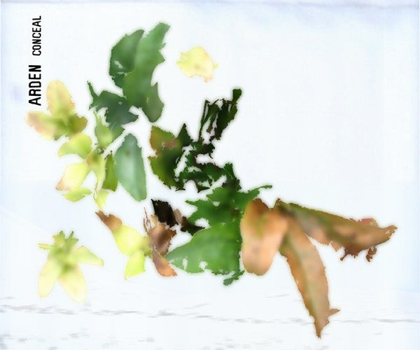 ARDEN - CONCEAL