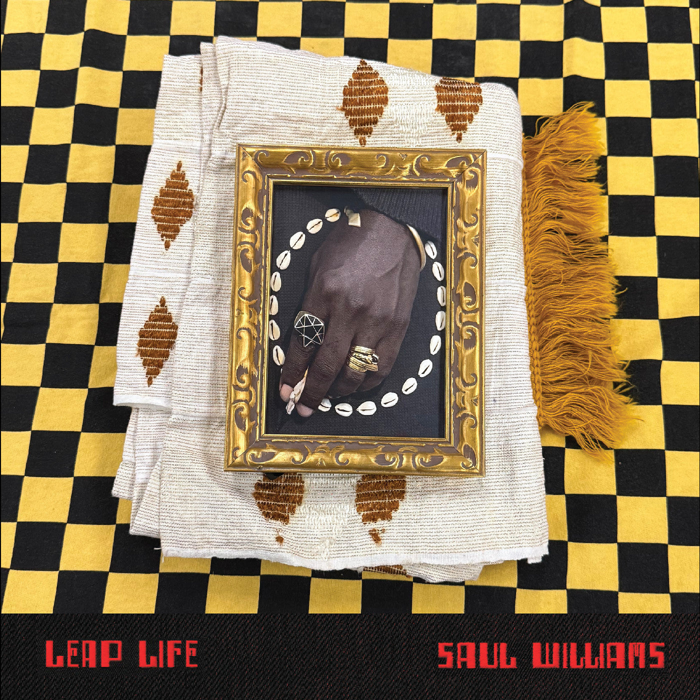 WILLIAMS, SAUL - LEAP LIFE