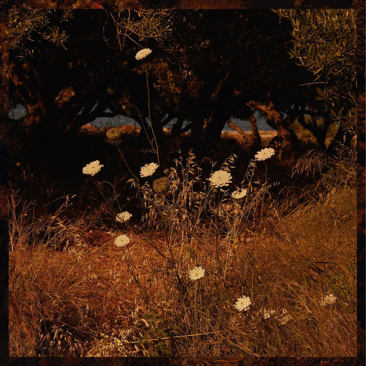 SZUN WAVES - EARTH PATTERNS (INDIE EXCLUSIVE, "BROWN SMOKE" VINYL)