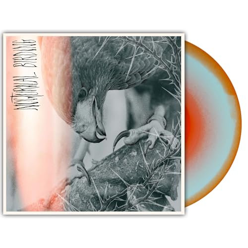AUTHOR & PUNISHER - NOCTURNAL BIRDING (CUSTOM MERGE VINYL)