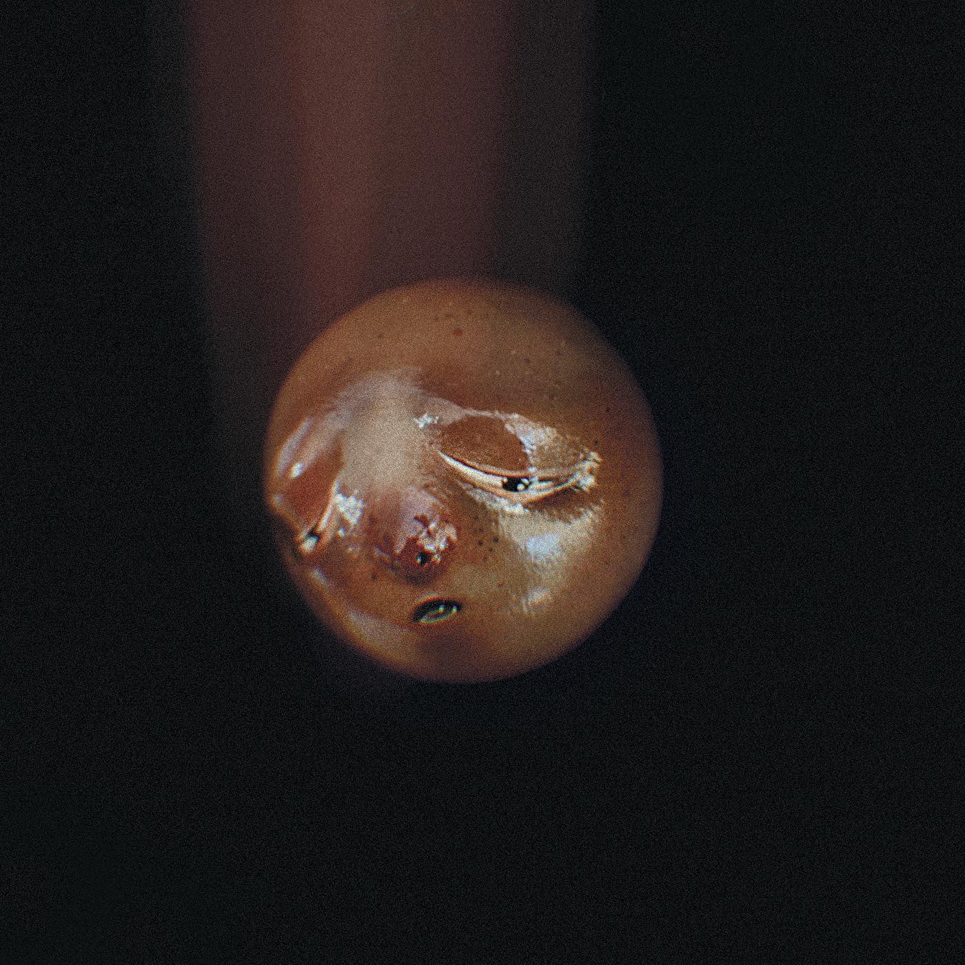 POOLBLOOD - MOLE