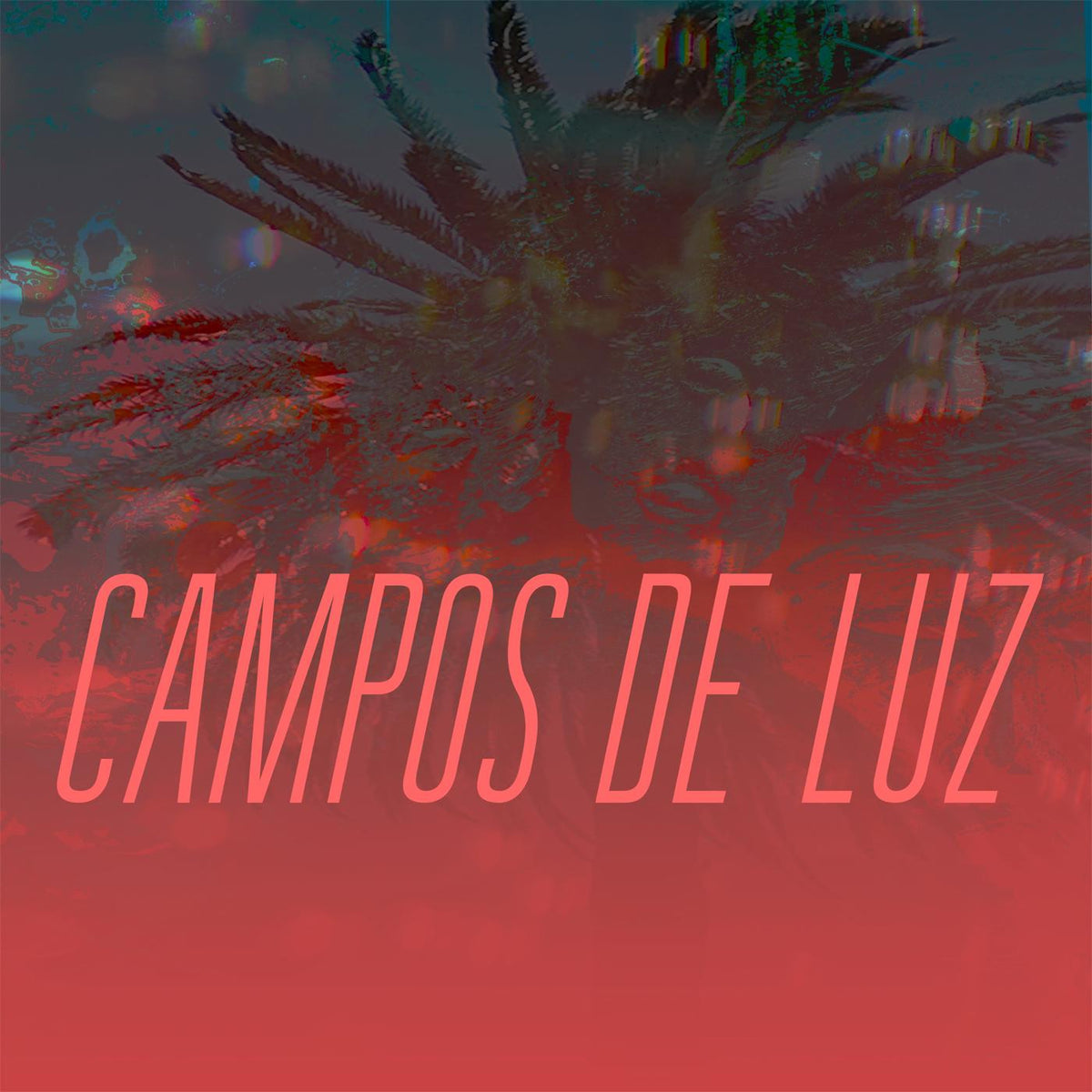 CAMPOS DE LUZ - CAMPOS DE LUZ