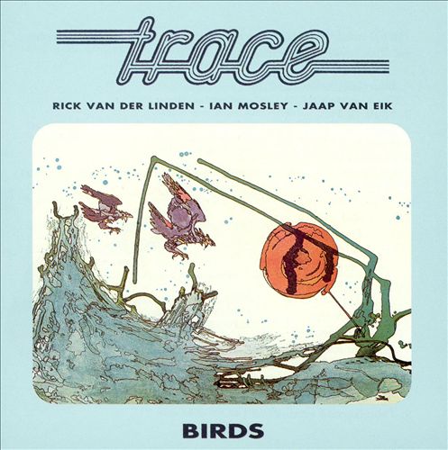 TRACE - BIRDS