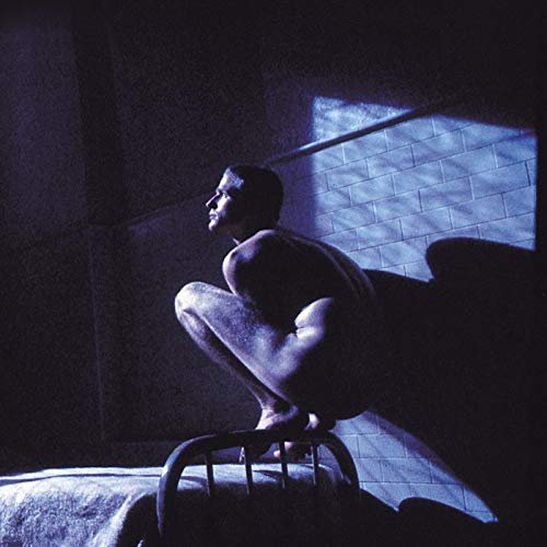 GABRIEL, PETER - BIRDY: MUSIC FROM BIRDY (2LP VINYL)