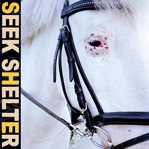 ICEAGE - SEEK SHELTER (CD)