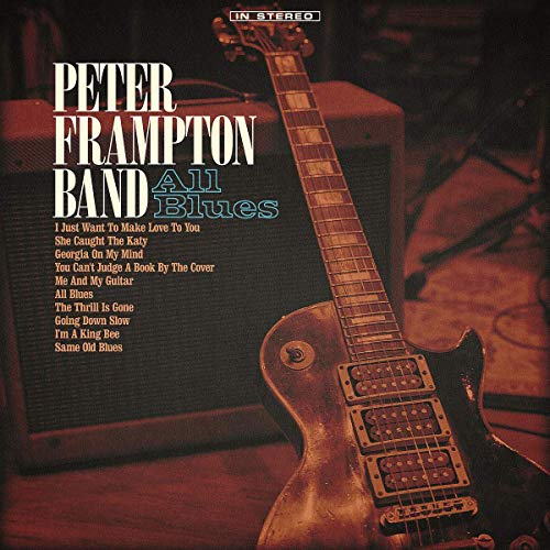 FRAMPTON, PETER - ALL BLUES (2LP ETCHED VINYL)