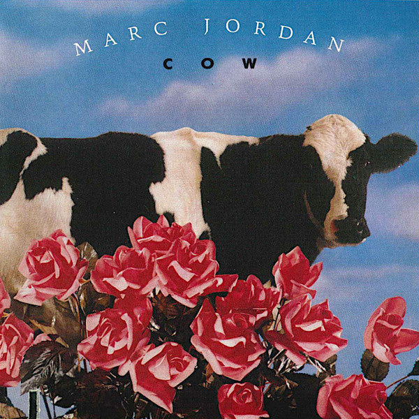 JORDAN, MARC  - COW