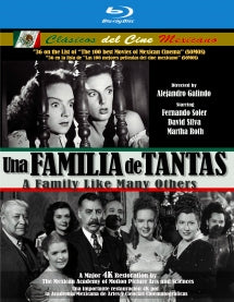 UNA FAMILIA DE TANTAS (A FAMILY LIKE MANY OTHERS) [BLU-RAY]