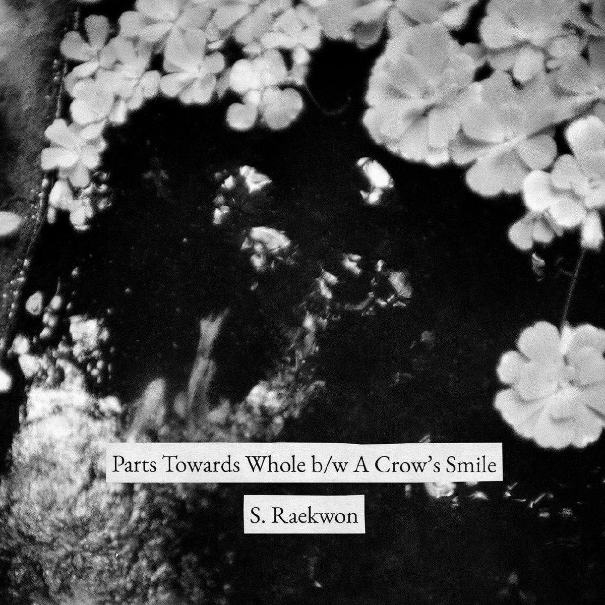 S. RAEKWON - PARTS TOWARDS WHOLE B/W A CROW'S SMILE