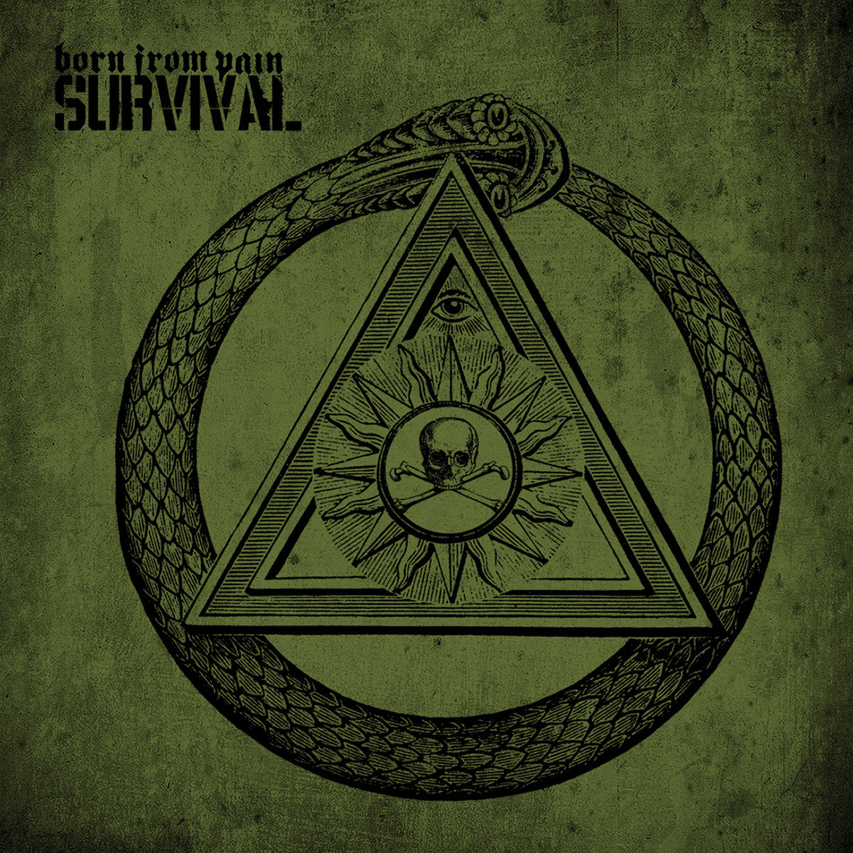 BORN FROM PAIN  - SURVIVAL