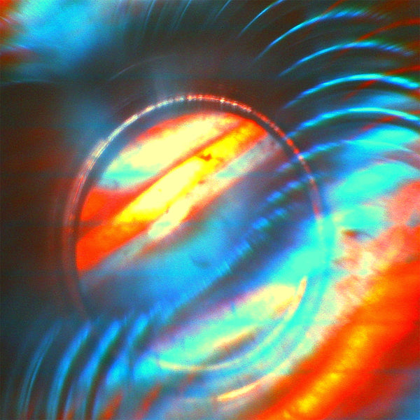 SOLAR BEARS  - ADVANCEMENT
