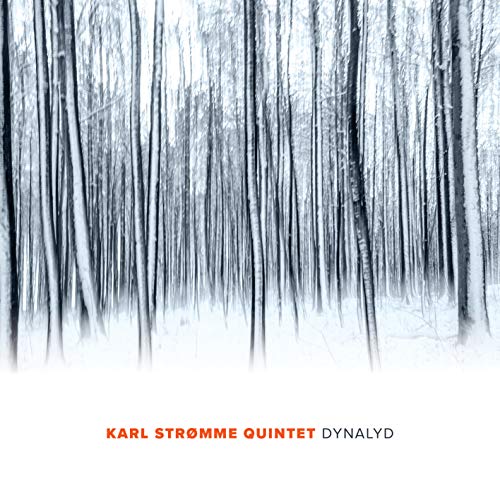 STROMME,KARL QUINTET - DYNALYD (CD)