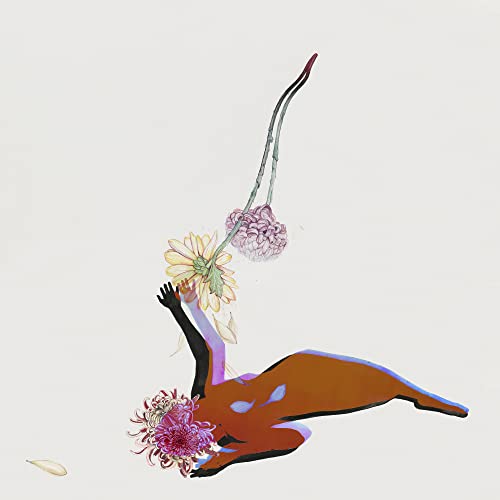 FUTURE ISLANDS  - FAR FIELD