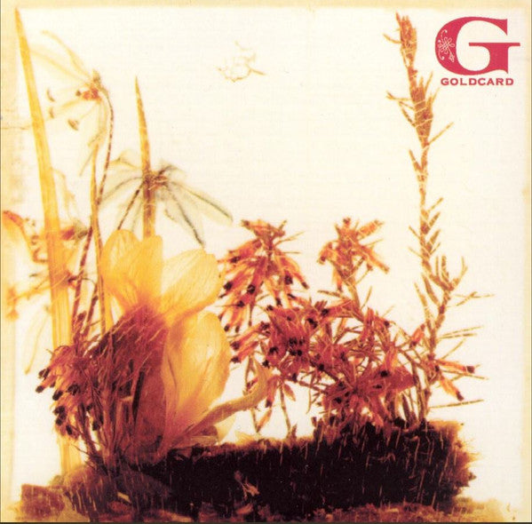 GOLDCARD  - ST