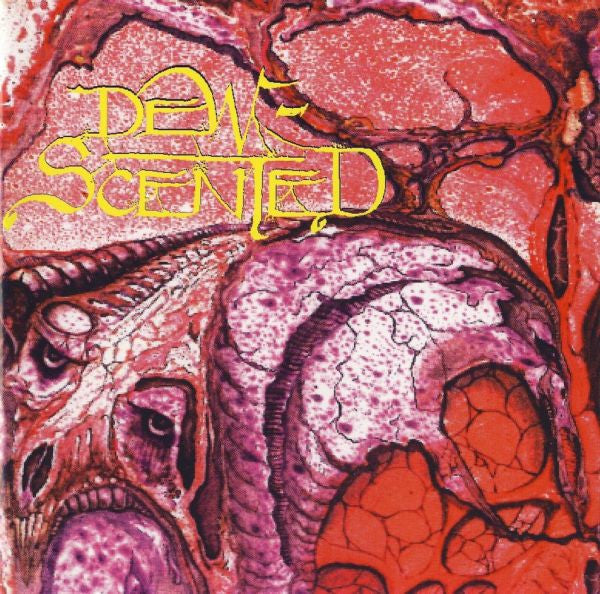 DEW SCENTED  - IMMORTELLE (DIGIPAK)