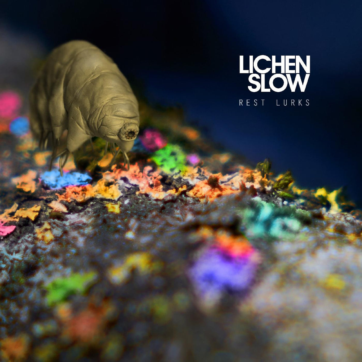LICHEN SLOW - REST LURKS