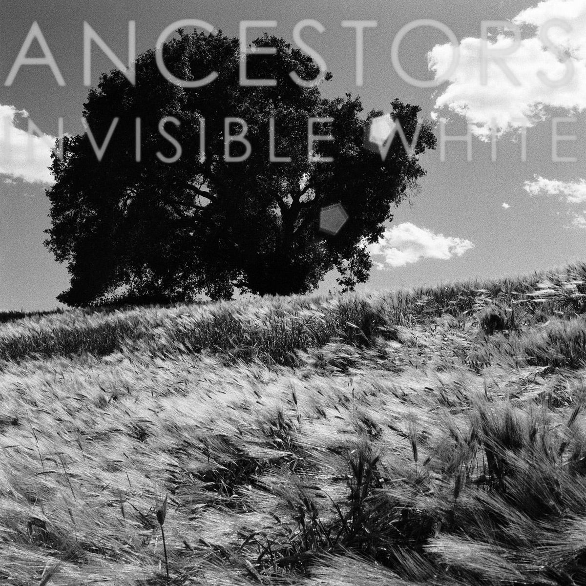 ANCESTORS - INVISIBLE WHITE (OPAQUE GRAY VINYL)