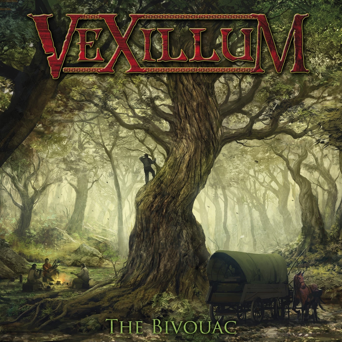 VEXILLUM  - BIVOUAC