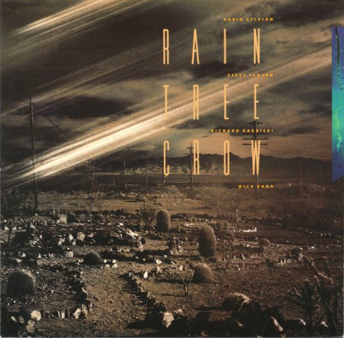 RAIN TREE CROW  - RAIN TREE CROW