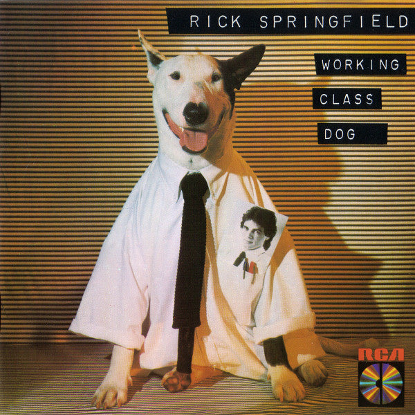 SPRINGFIELD, RICK  - WORKING CLASS DOG (40TH ANNIV)(LIVE)