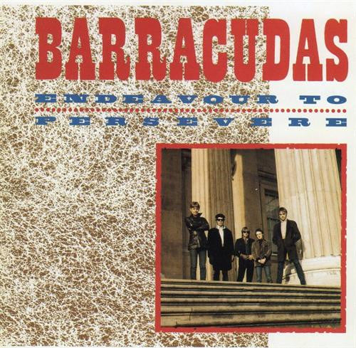 BARRACUDAS  - ENDEAVOUR TO PERSEVERE