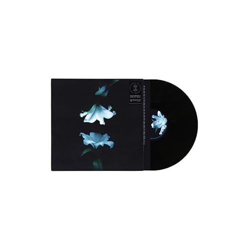 WASIA PROJECT - NOCTURNE (VINYL)