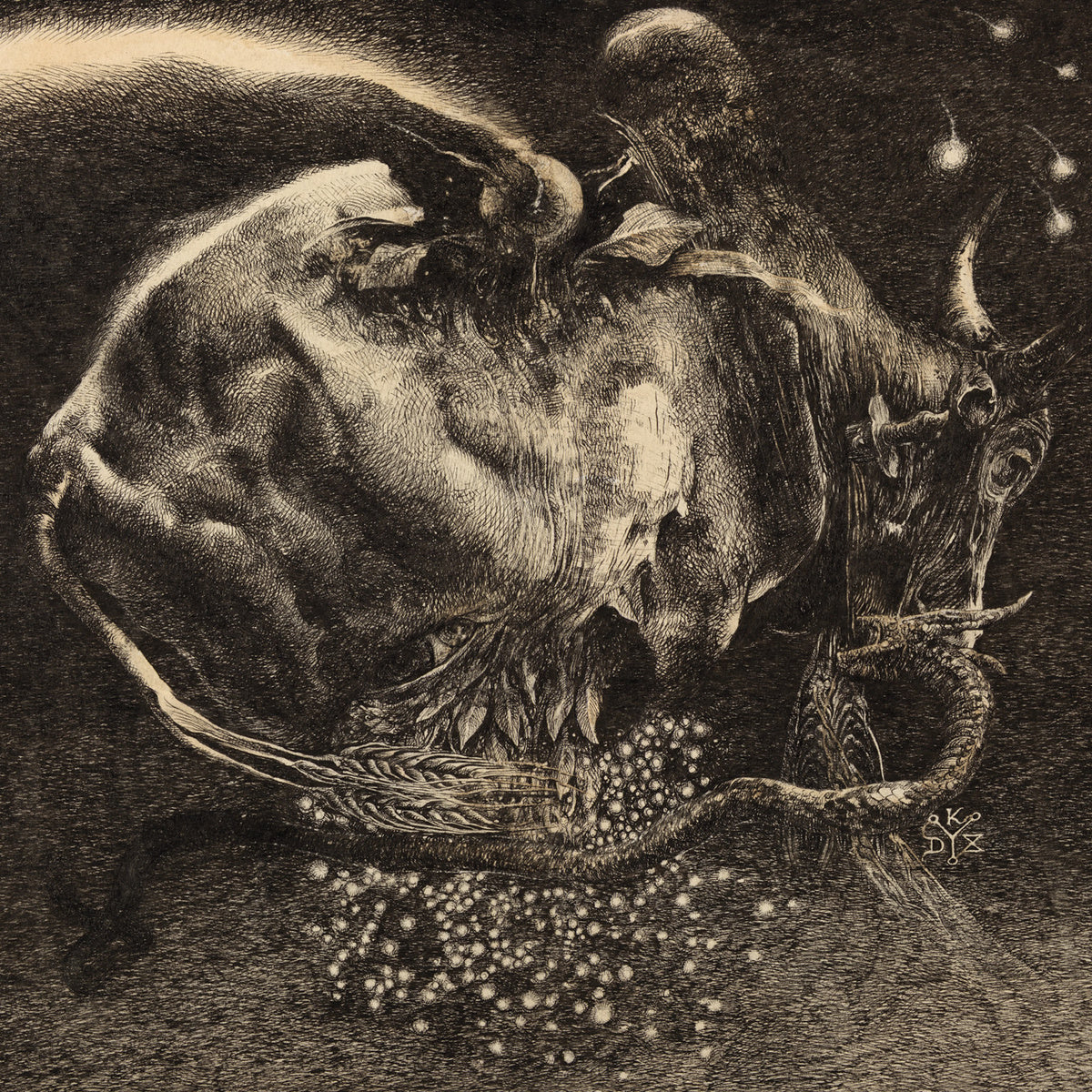HORSEBACK  - HALF BLOOD
