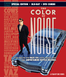 THE COLOR OF NOISE (BLU-RAY/DVD) [BLU-RAY/DVD]