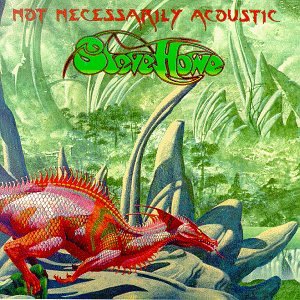 HOWE, STEVE - NOT NECESSARILY ACOUSTIC