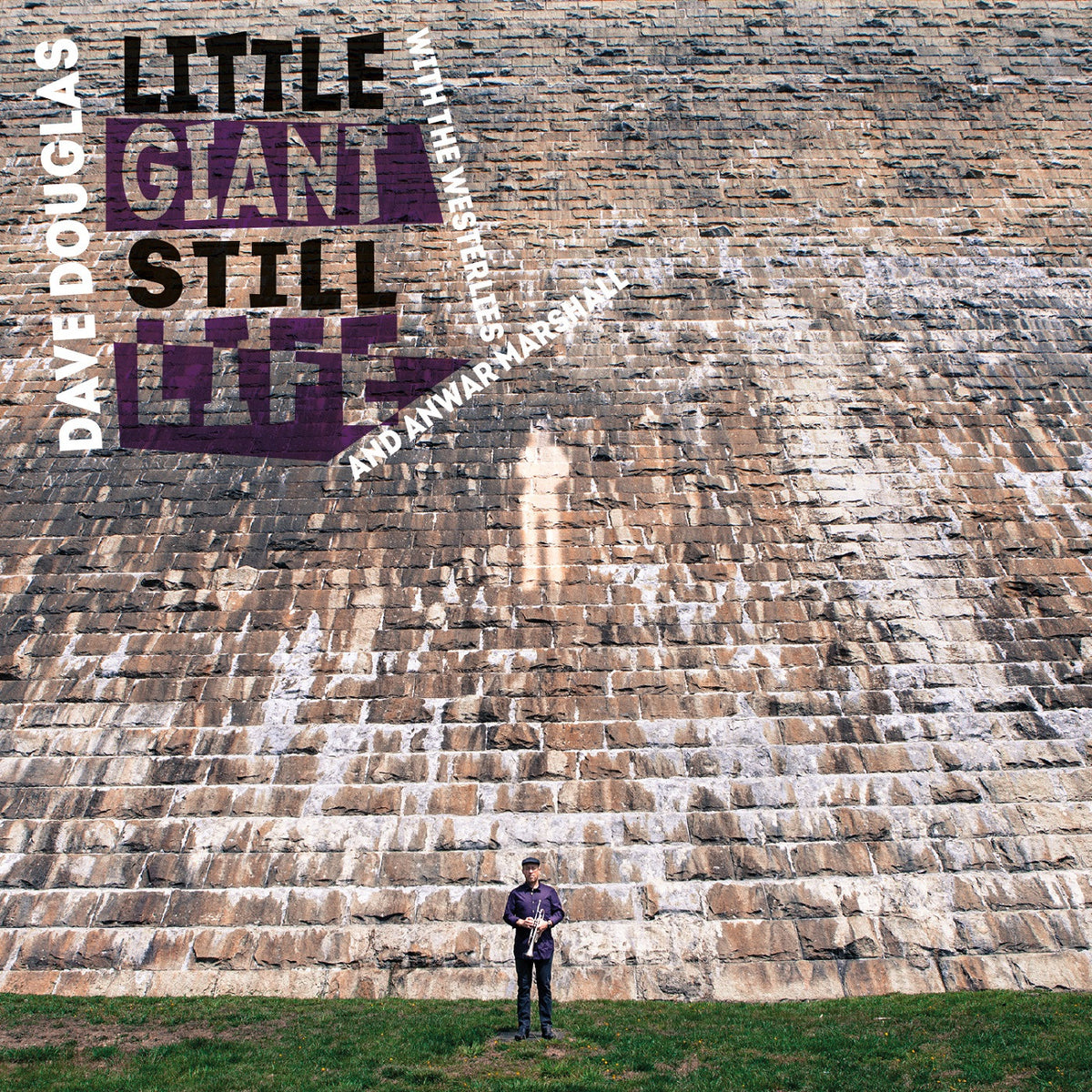 DOUGLAS, DAVE & THE WESTERLIES - LITTLE GIANT STILL LIFE
