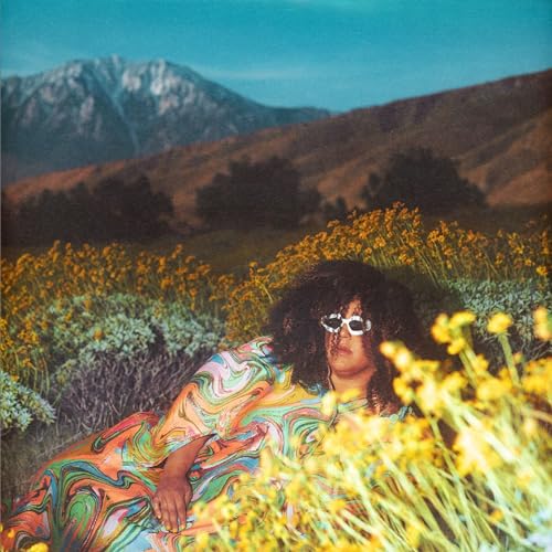 HOWARD, BRITTANY (ALABAMA SHAKES/THUNDER  - WHAT NOW