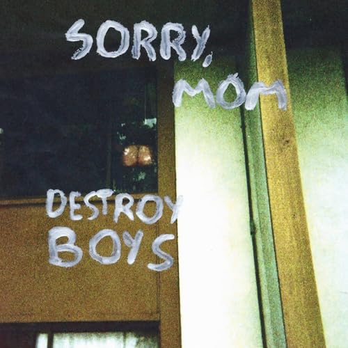 DESTROY BOYS - SORRY, MOM (VINYL)