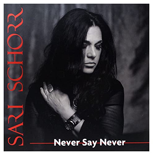 SCHORR,SARI - NEVER SAY NEVER (VINYL)