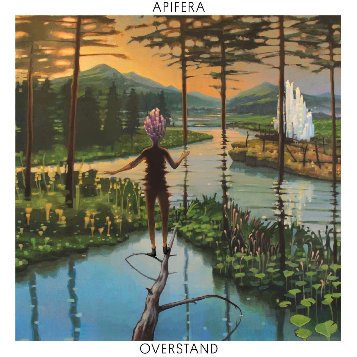 APIFERA - OVERSTAND