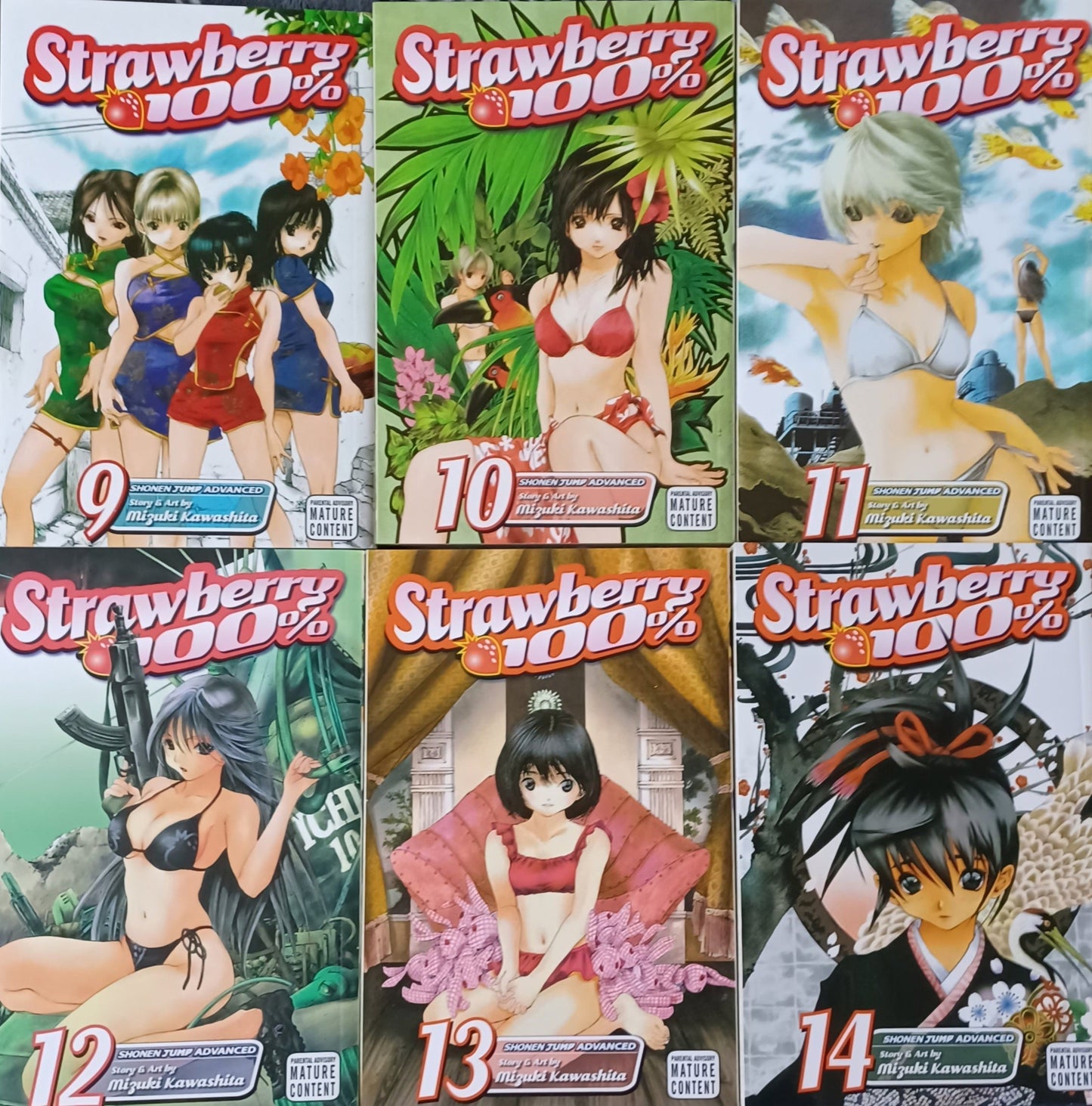 STRAWBERRY 100% - MANGA-VOL. 1-14