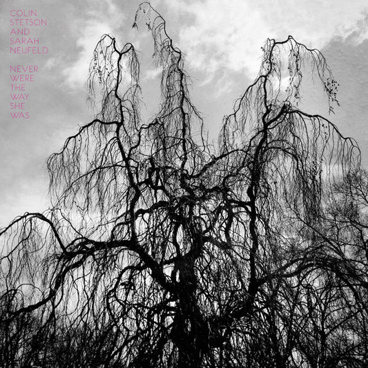 STETSON, COLIN  - NEVER WERE THE WAY SHE WAS