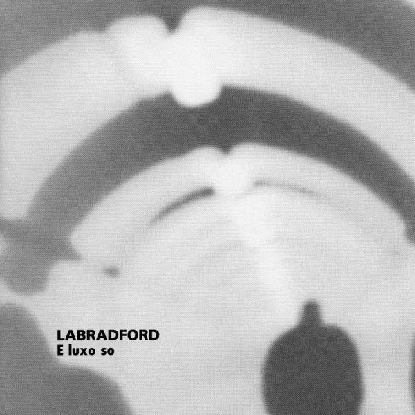 LABRADFORD  - E LUXO SO