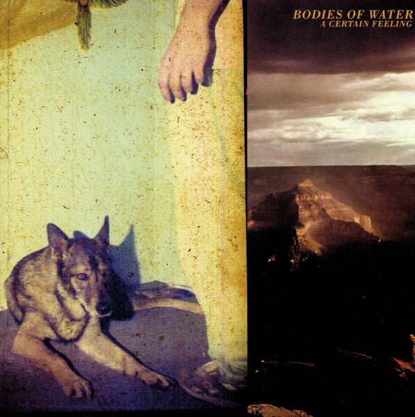 BODIES OF WATER  - CERTAIN FEELING