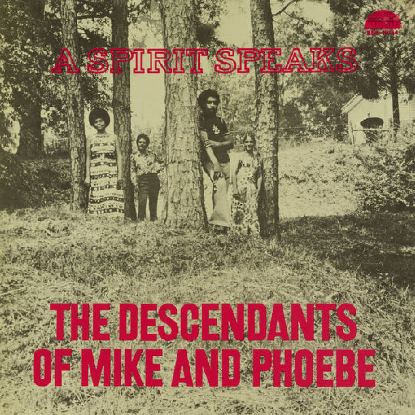 DESCENDANTS OF MIKE AND PHOEBE, THE, BILL LEE - THE DESCENDANTS OF MIKE AND PHOEBE - A SPIRIT SPEAKS (DELUXE EDITION)