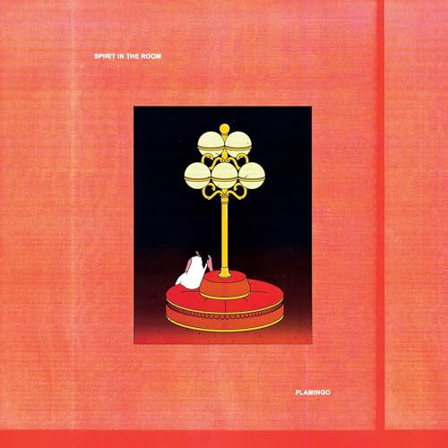 SPIRIT IN THE ROOM - FLAMINGO (VINYL)