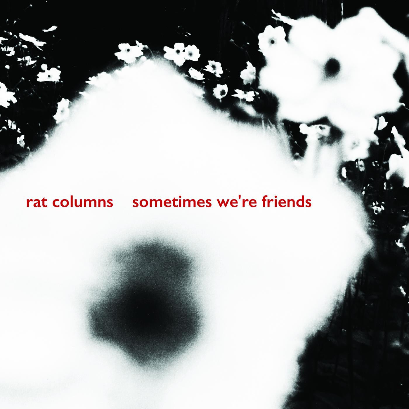 RAT COLUMNS - SOMETIMES WE'RE FRIENDS