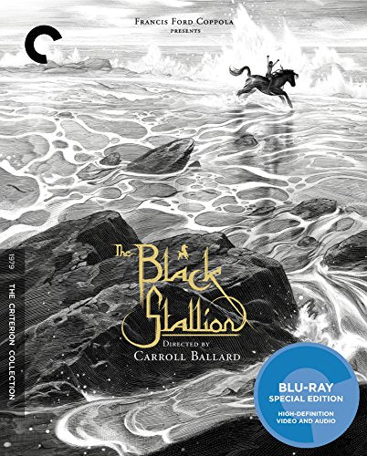 THE BLACK STALLION (BLU-RAY)