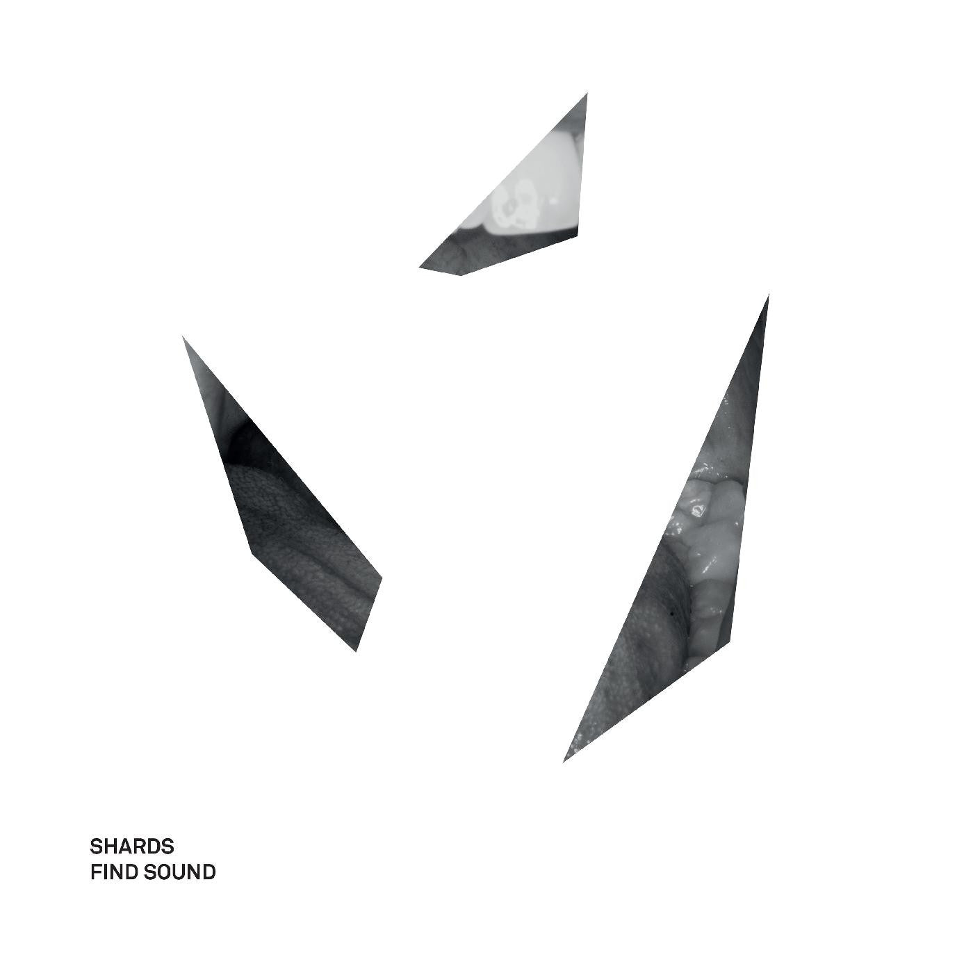SHARDS - FIND SOUND