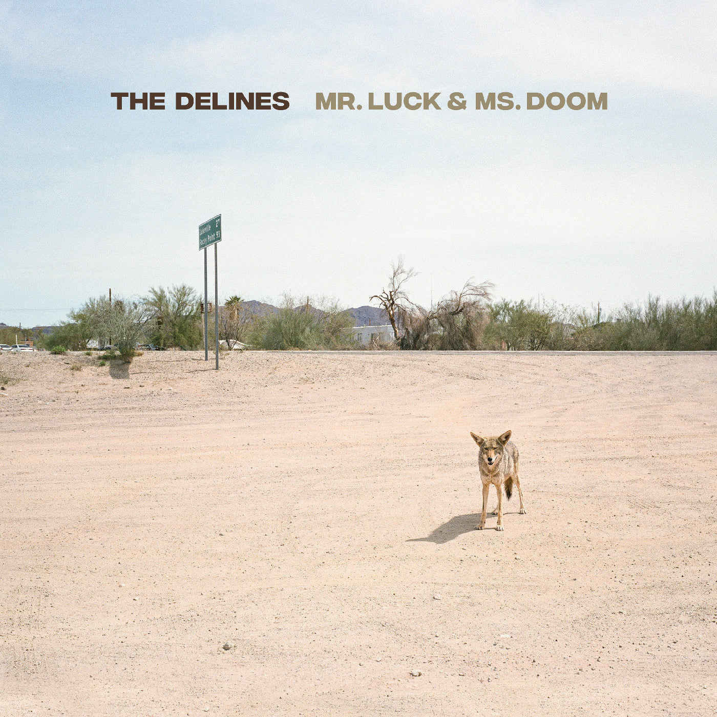 DELINES, THE - MR. LUCK & MS. DOOM (OX BLOOD VINYL)