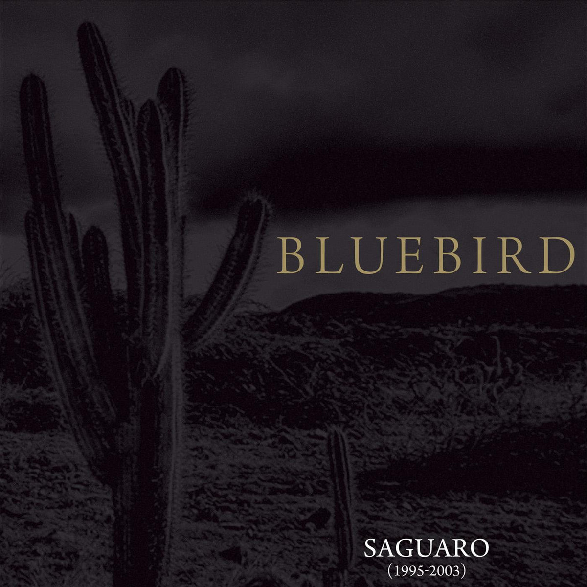 BLUEBIRD - SAGUARO (1995-2003)